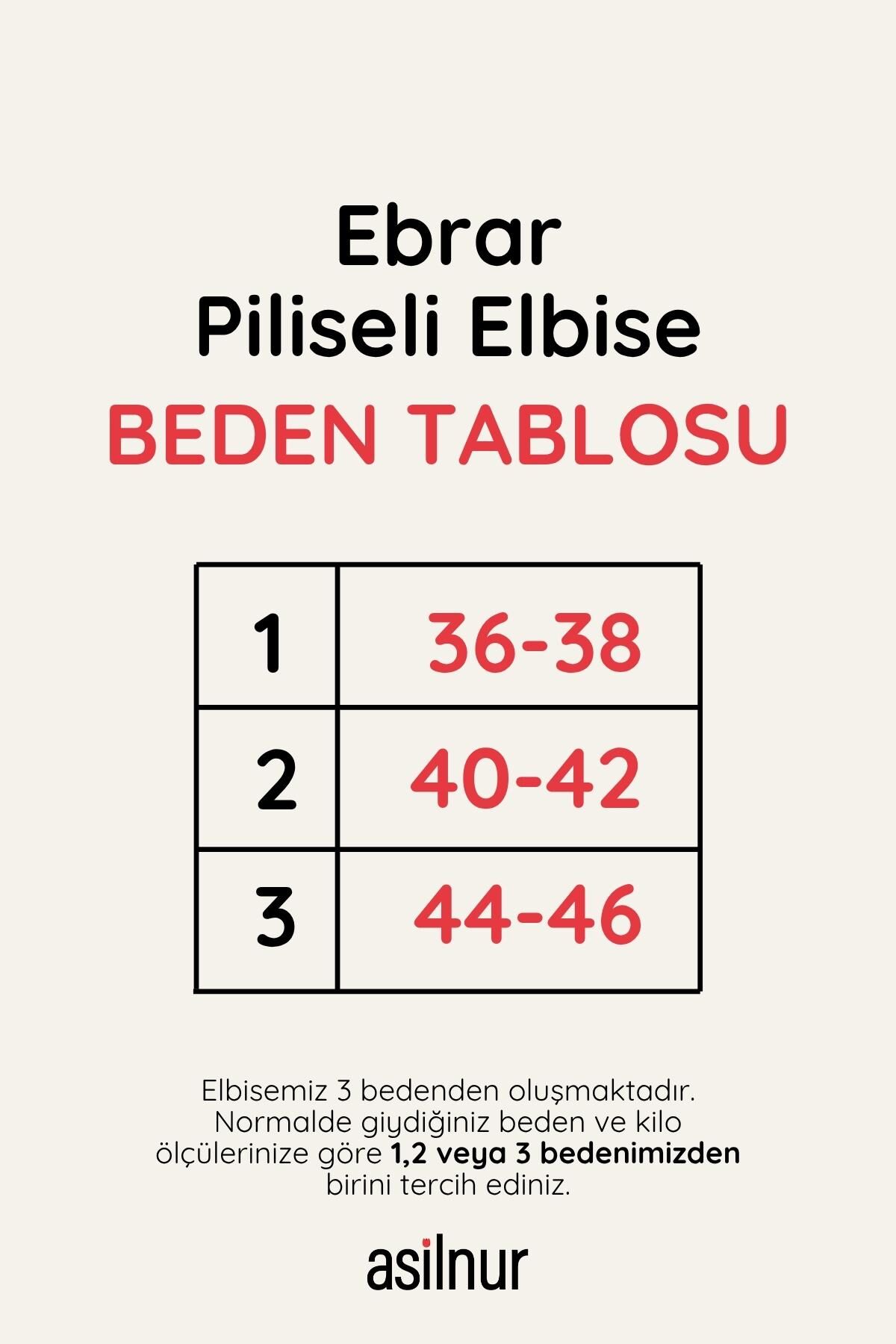 Ebrar Piliseli Elbise Vizon - 2